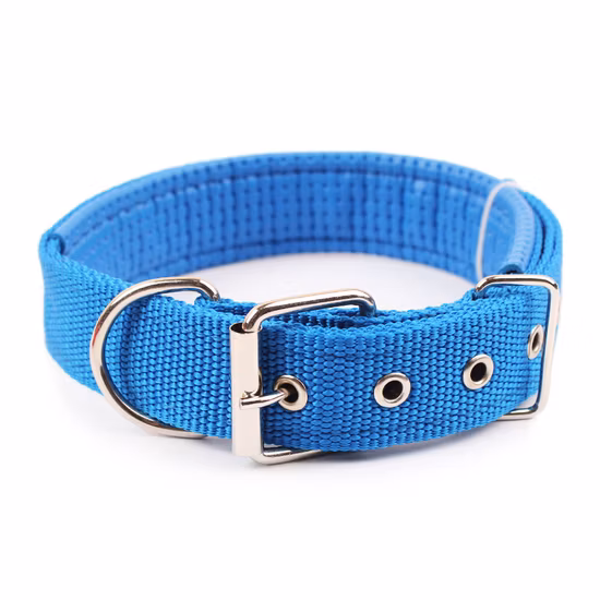 Corrente para cachorro torcido animal